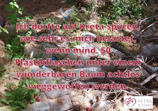 Plastikmüll unter einem Baum auf Kreta - Petra Biefang reflektiert über Selbstliebe Heilung und den achtsamen Umgang in der Natur