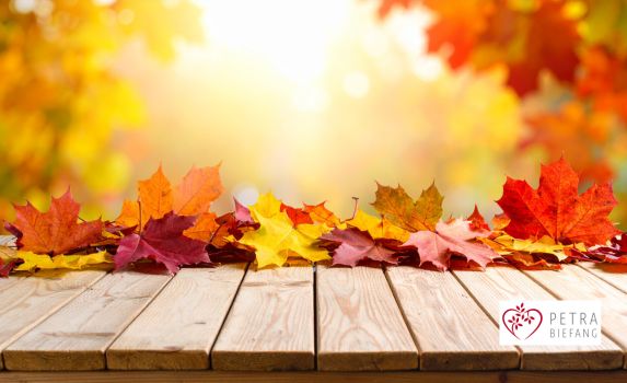 Herbstblätter fallen bunt auf ein Holszaun zum FrauenHerzKreis in Pfaffenhofen am 08.10.25
